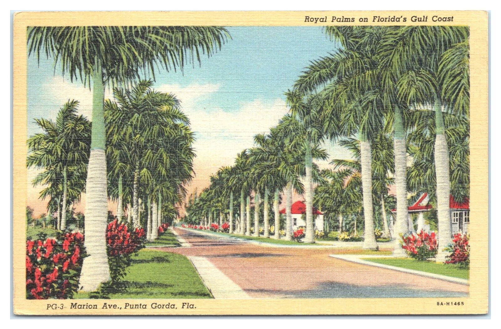 Royal Palms on Florida\'s Gulf Coast Marion Ave., Punta Gorda, Florida Postcard