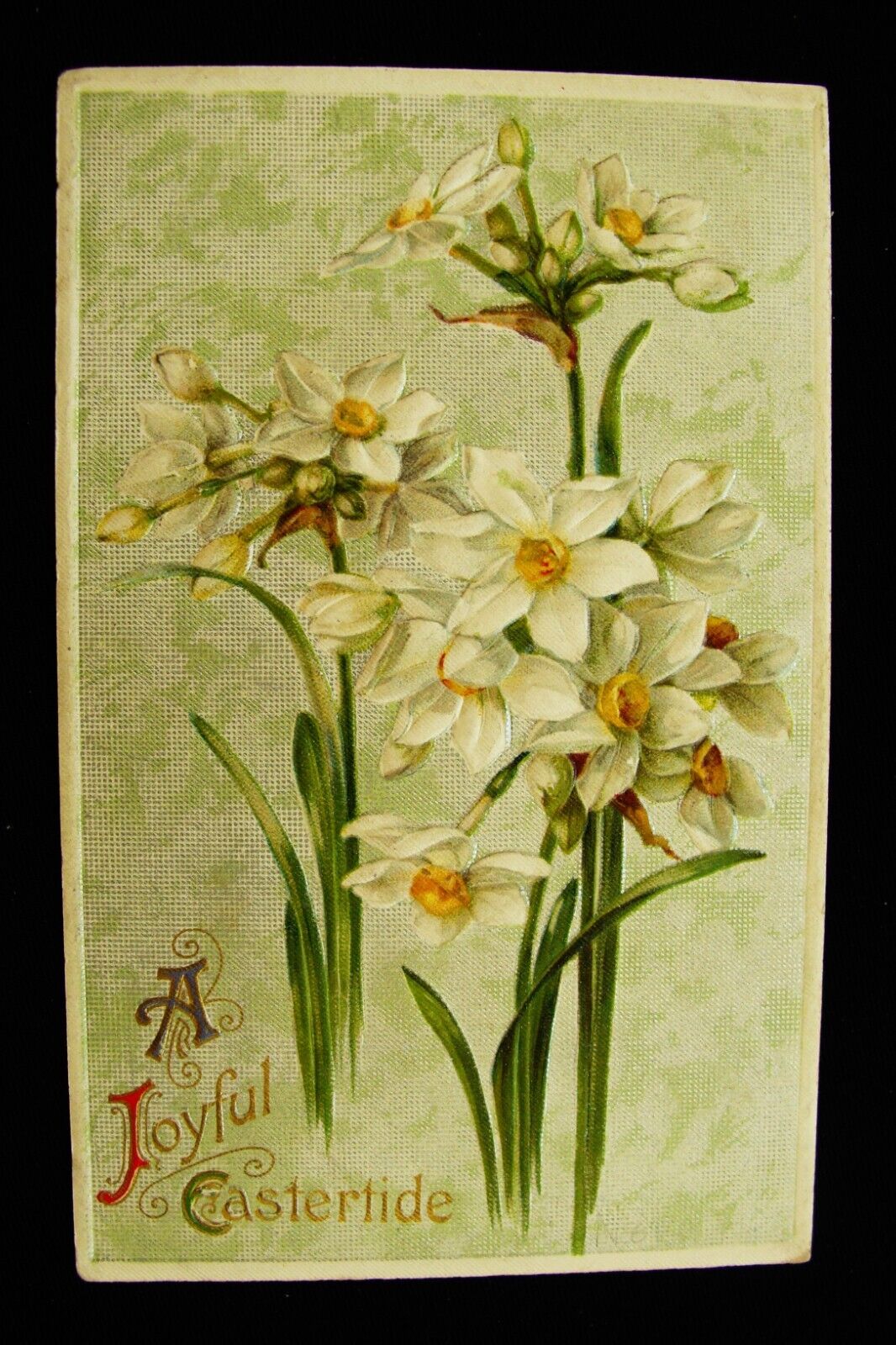 Winsch White Narcissis Flowers on Silver Textured Background Easter Postcard