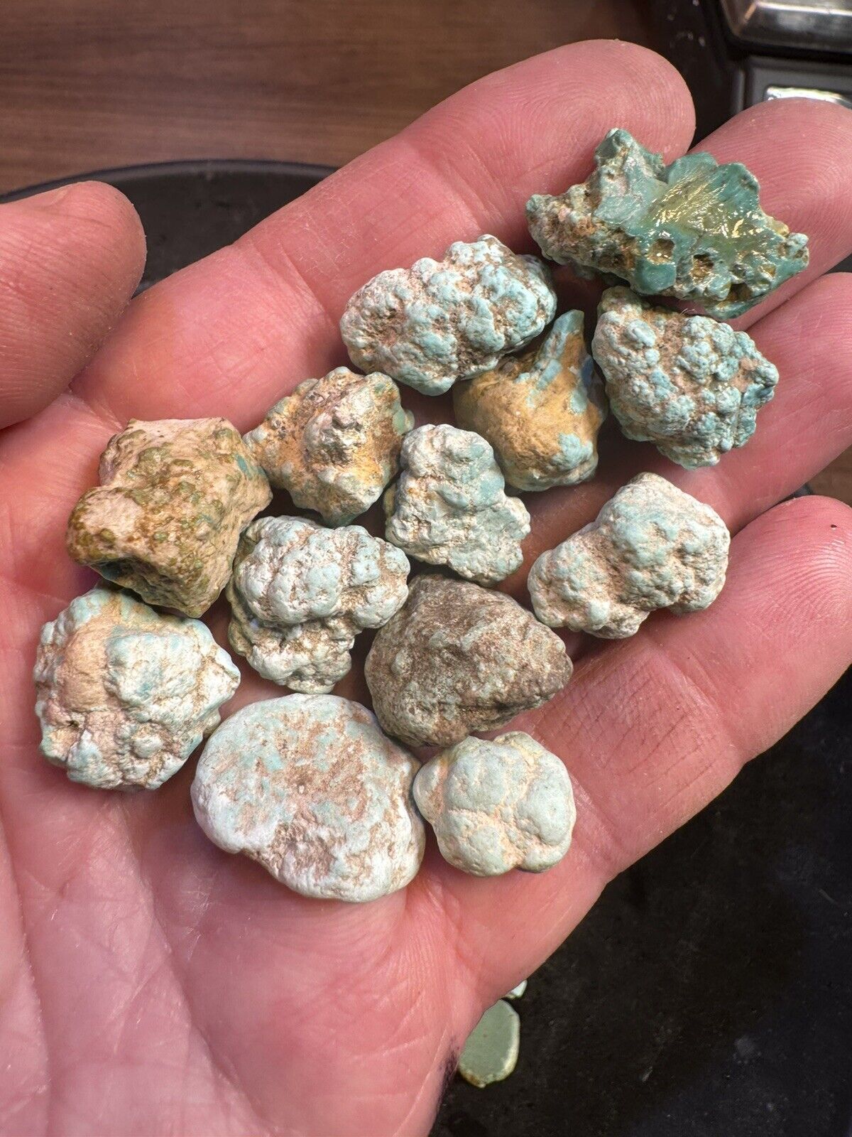 NEW AD💥Castle Dome Natural Gem Hard Turquoise/Old Bell Nugs  190 grams.💥