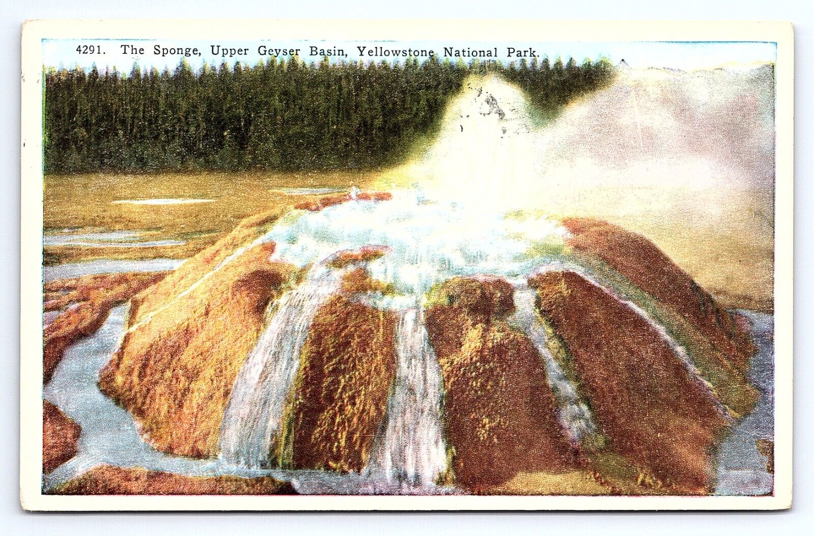 Postcard The Sponge Upper Geyser Basin Yellowstone National Park c.1930