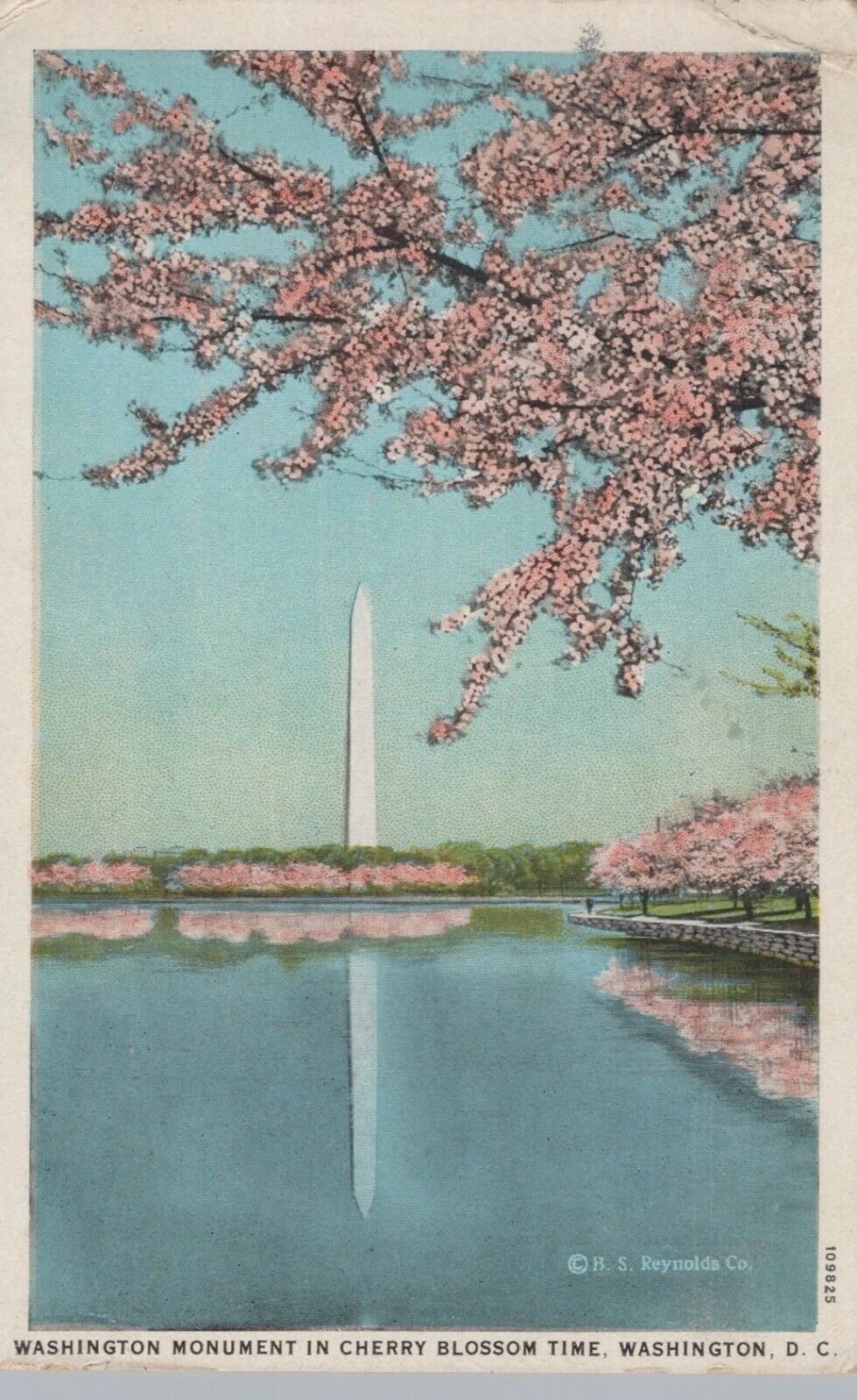 Washington DC Washington Monument Cherry Blossoms Postcard Posted 1929