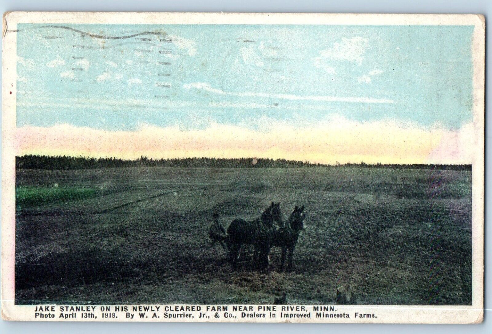 Pine River Minnesota Postcard Jake Stanley Newly Cleared Farm Horse 1921 Vintage