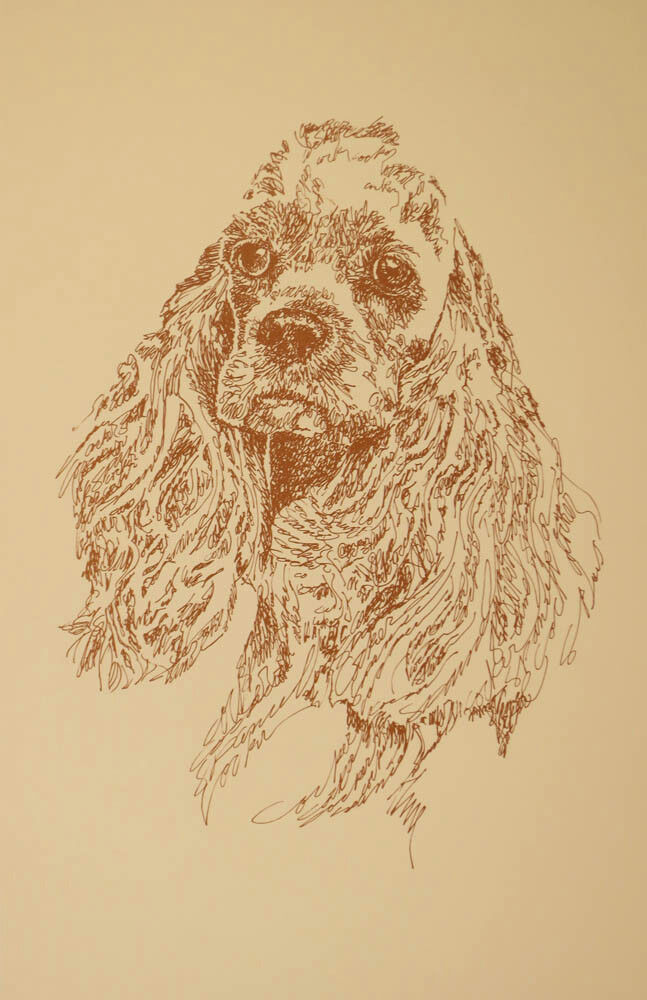 Cocker Spaniel Dog Art Portrait Print #48 Kline adds dog name free. WORD DRAWING