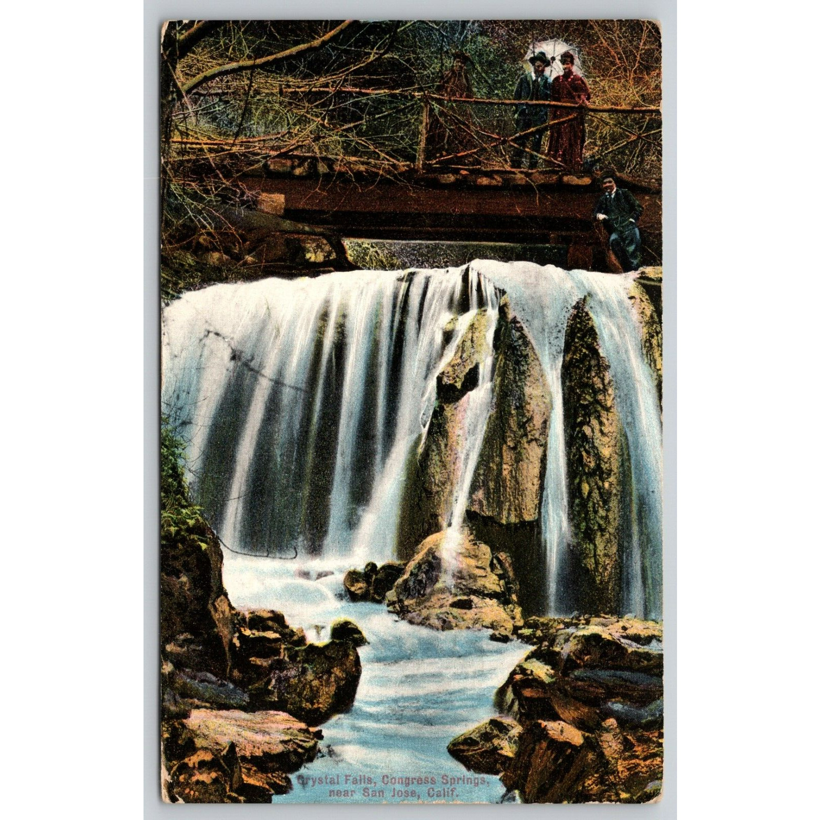 Postcard CA San Jose Crystal Falls Congress Springs