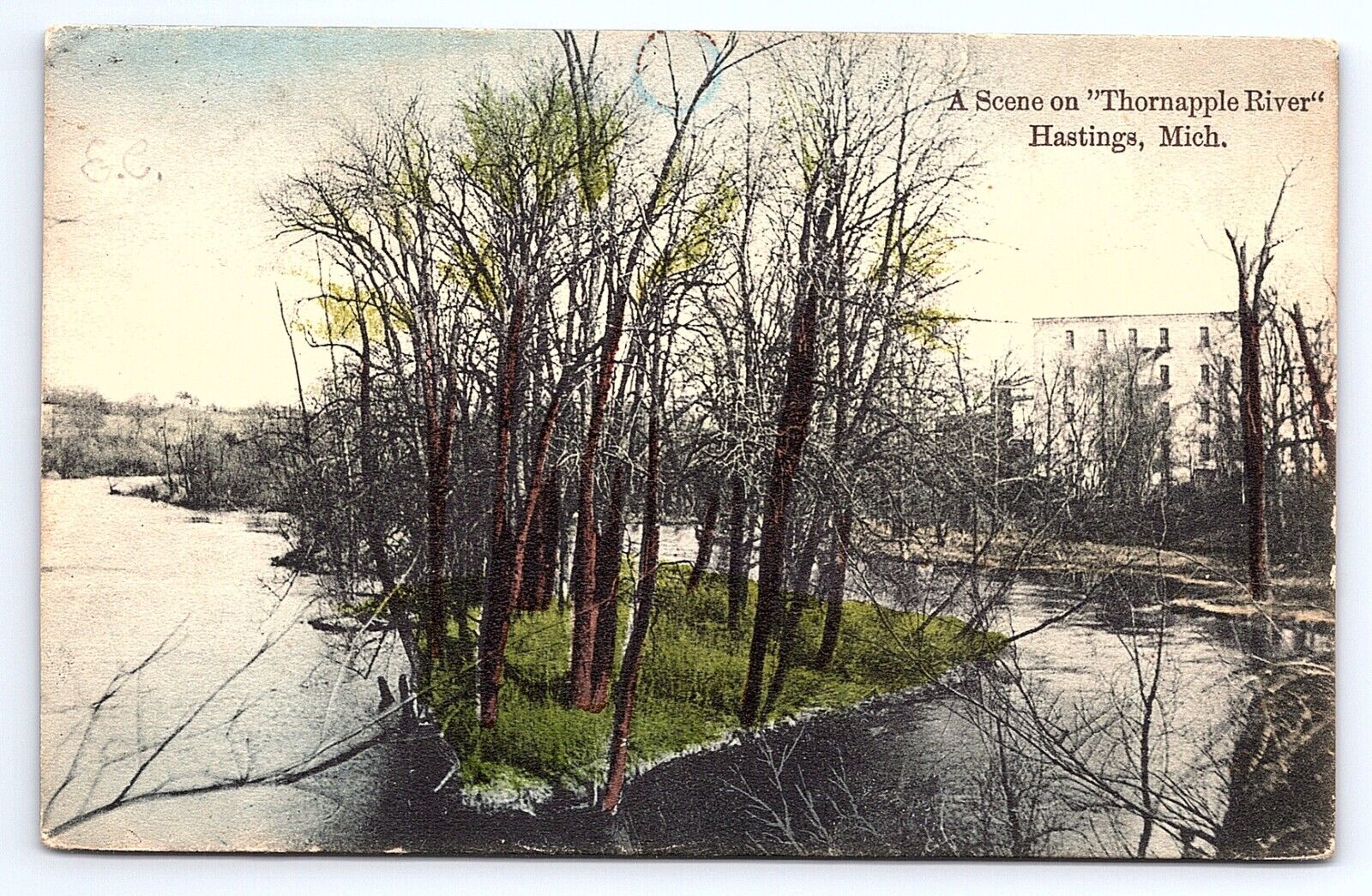 Postcard Scene on Thornapple River Hastings Michigan MI