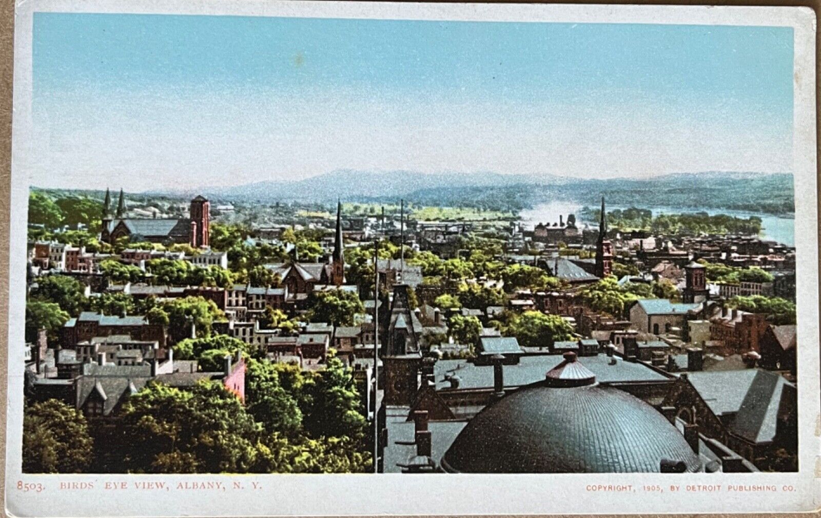 Albany New York Aerial View Antique Postcard 1905