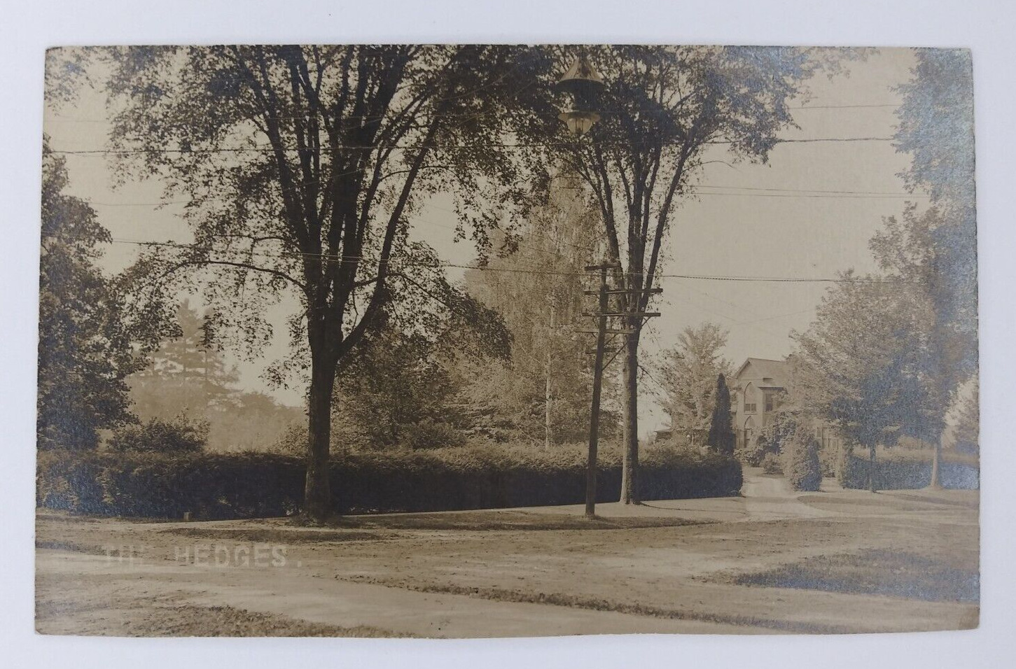 The Hedges Amherst, Mass. Antique/Vintage Real Photo Postcard Velox Unposted