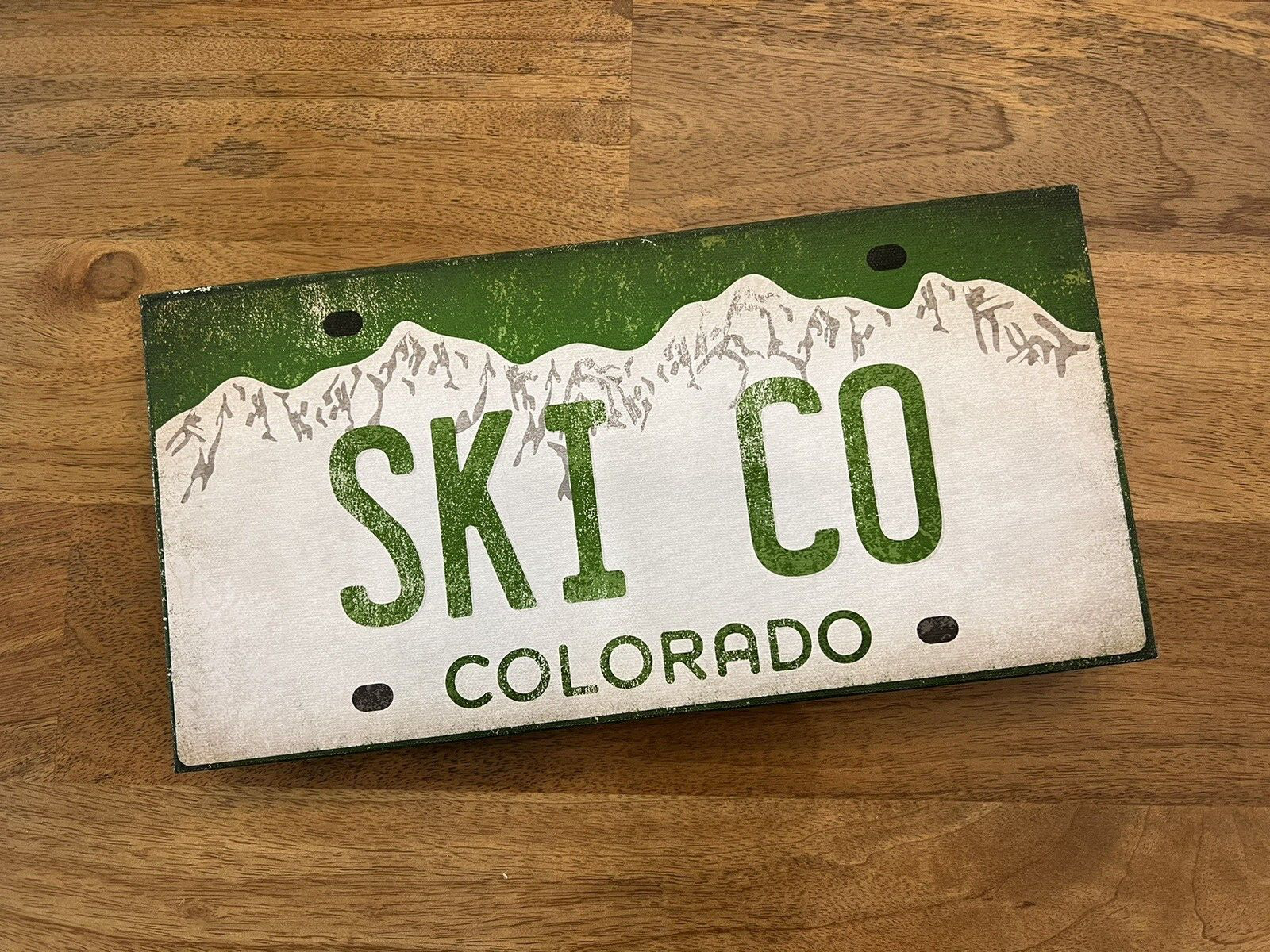 Ski CO Colorado License Plate Cabin Canvas Wall Art Signed by Artist Ryan Fowler