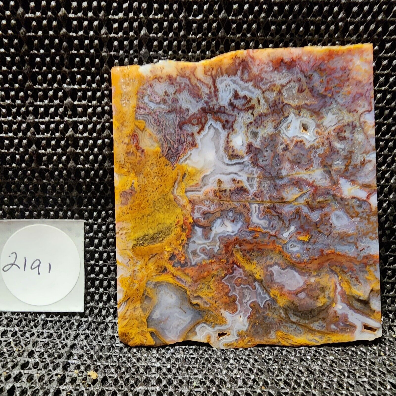 Stunning Red/Gold/Purple Moss Agate Slab, Cab/Collect, Gorgeous Colors, Mexico