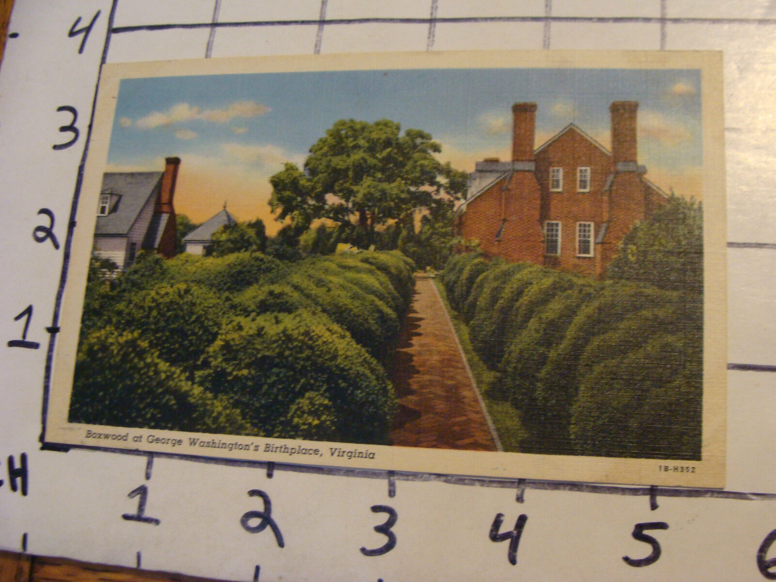  Unused Postcard: BOXWOOD at GEORGE WASHINGTON\'S BIRTHPLACE
