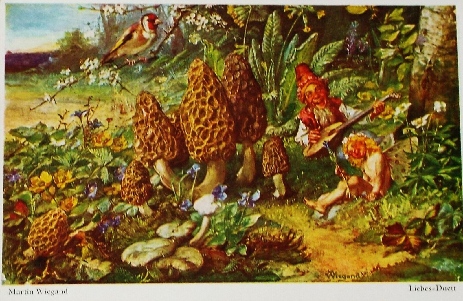 Rare Fine Fantasy 1926 Fairy Gnome Mushroom Signed Wiegand Germany Nuremberg