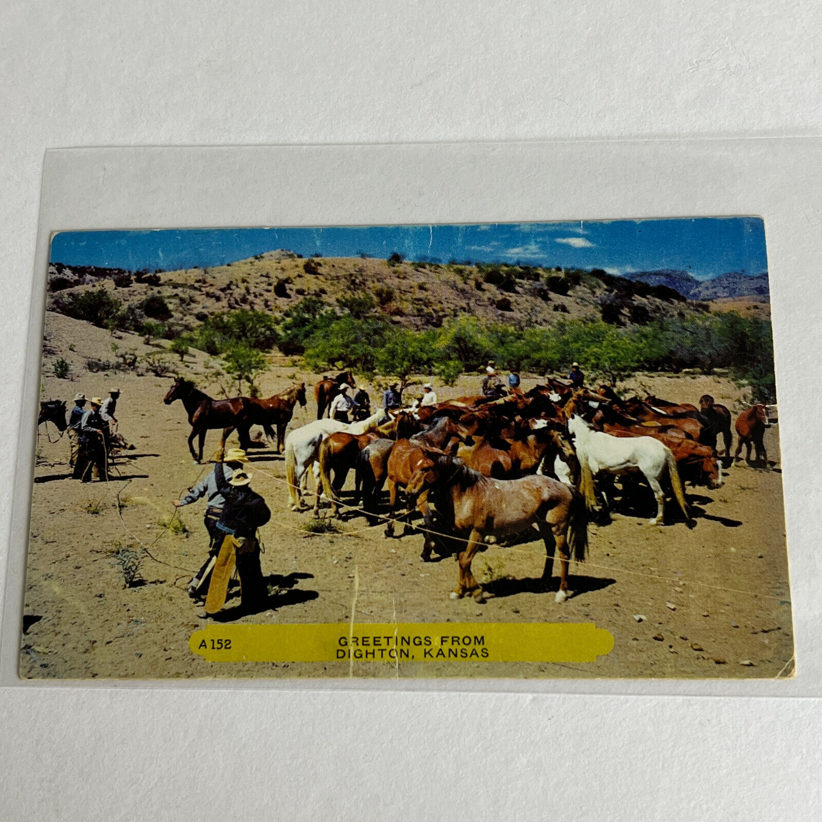 Dighton Kansas Horse Rancher Rembrant Card 1954 Postcard