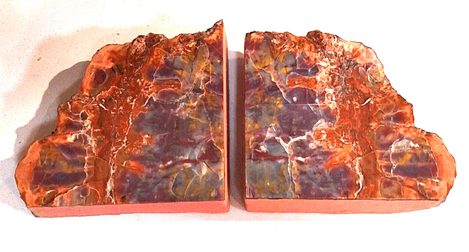 Arizona Rainbow Petrified Wood Bookends Book Matched & Polished 14.5