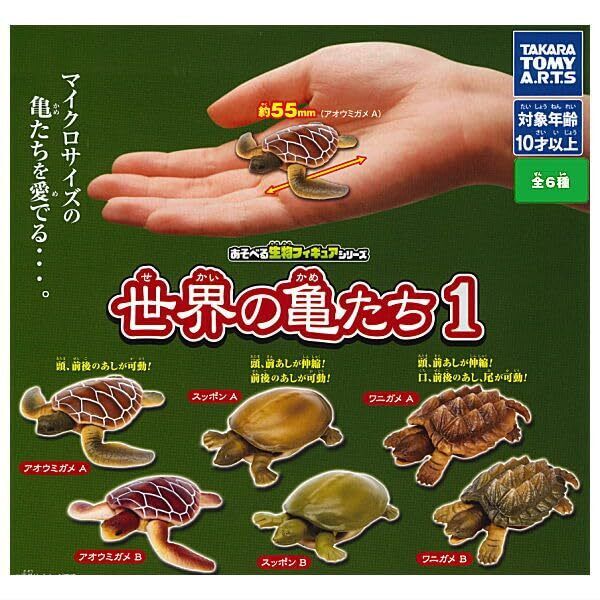 Playable Biology World Turtles Gashapon Toys Set of 6