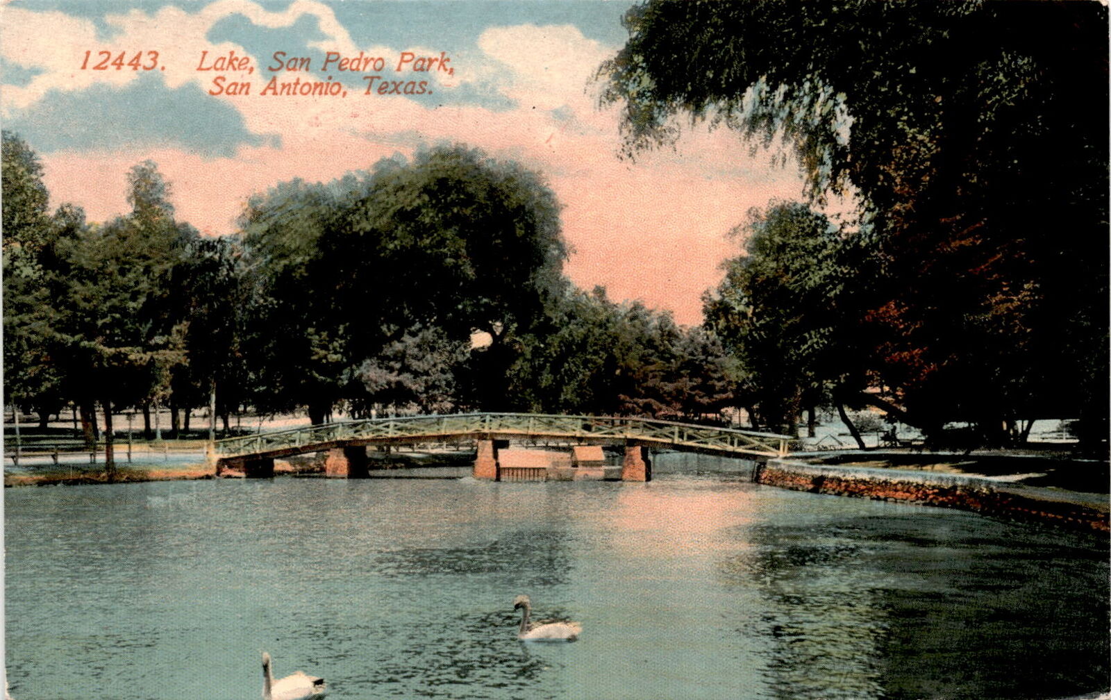 Lake, San Pedro Park, San Antonio, Texas, Acmegraph Co., Chicago. Postcard