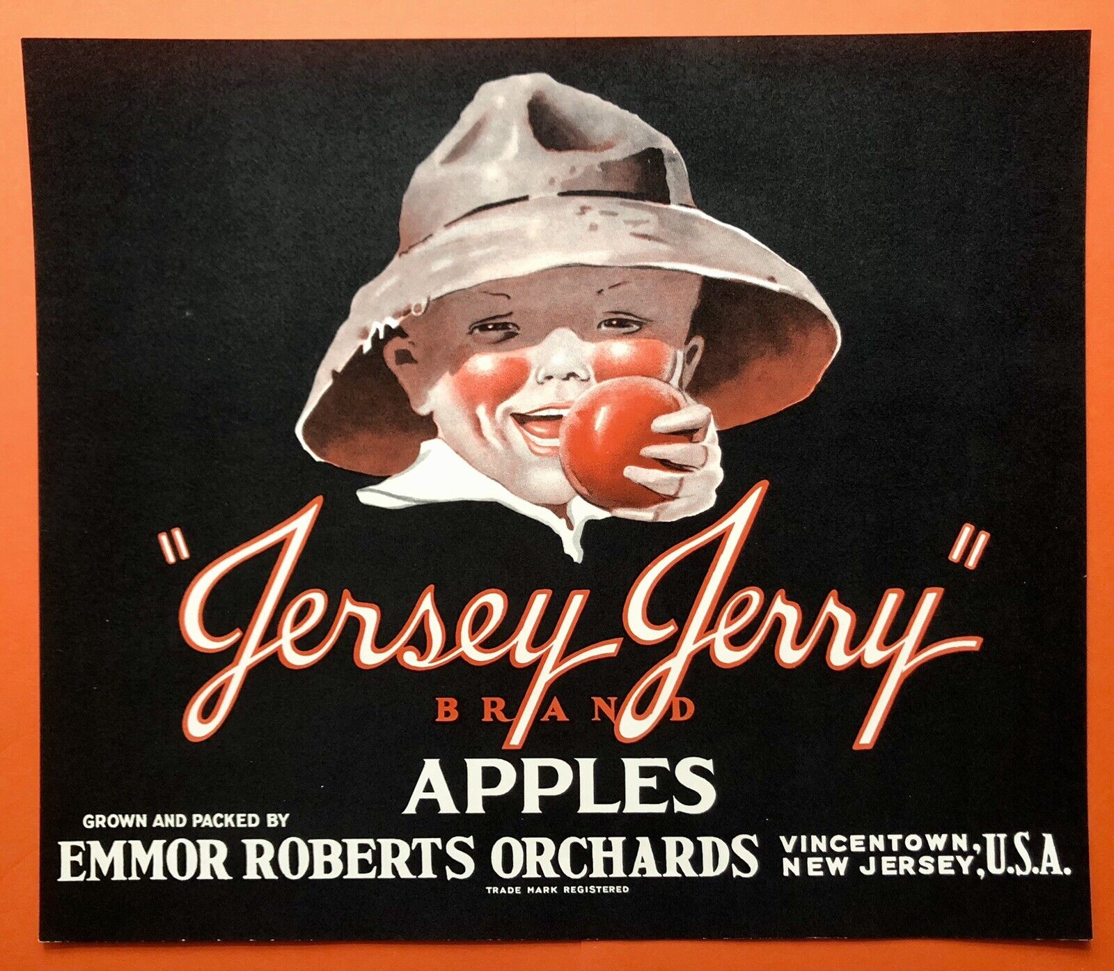 NOS Vintage 1940s Jersey Jerry Apples Crate Label Vincentown