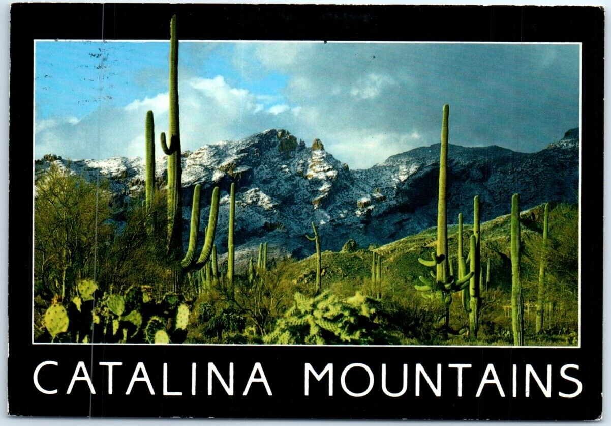 Postcard - Catalina Mountains, Arizona, USA