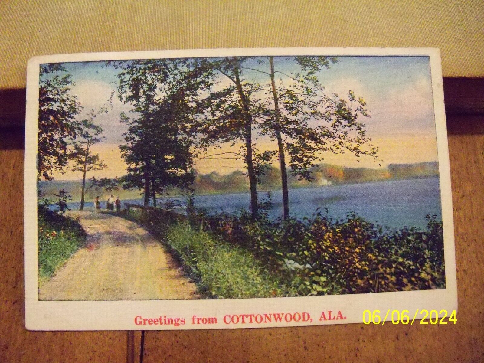 1936 Greetings from Cottonwood AL Alabama dirt lane serene lake people
