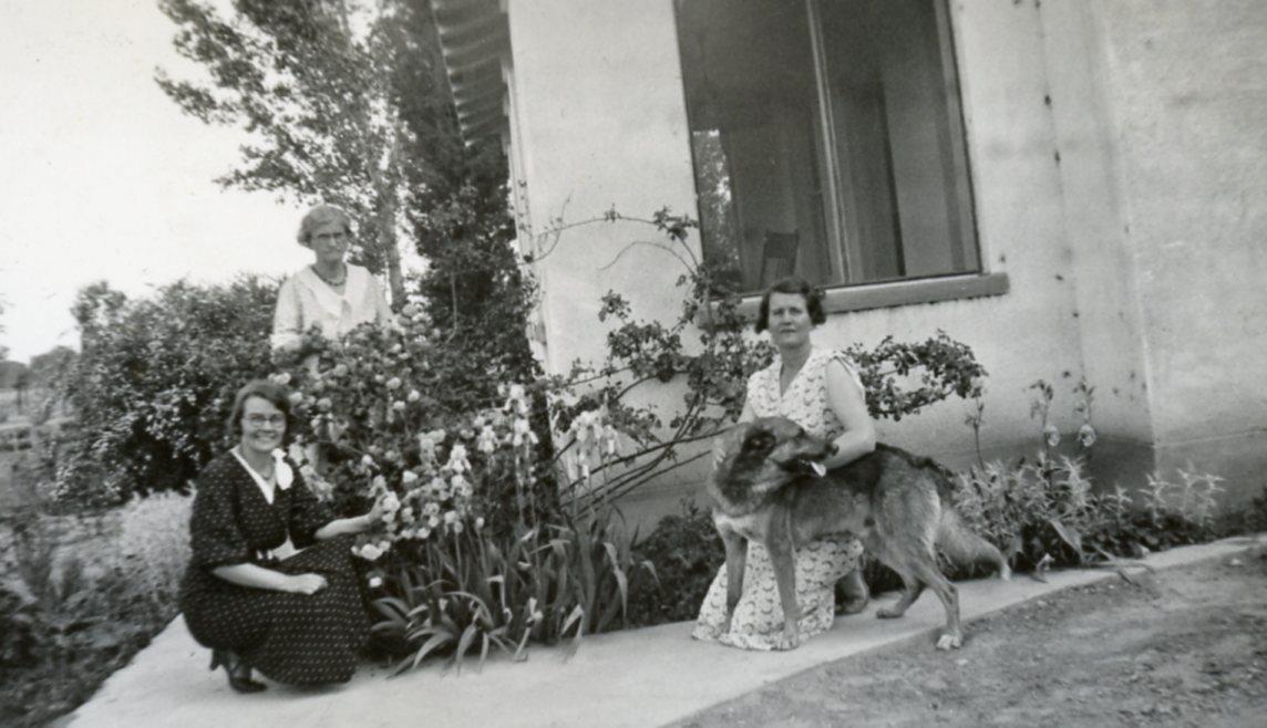 YZ40 Vtg Photo THREE WOMEN AND DOG BY FLOWERS c 1940\'s