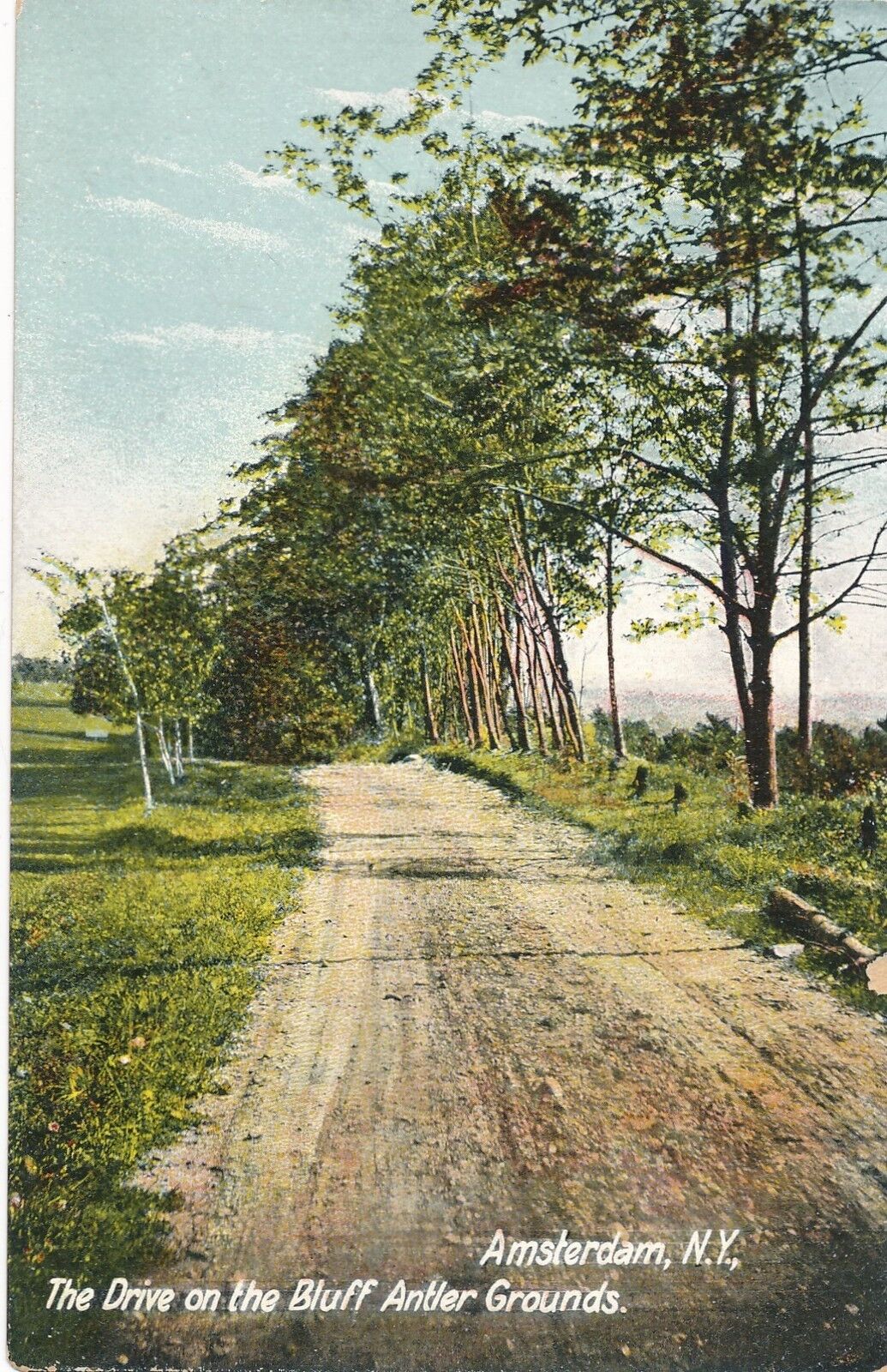 AMSTERDAM NY – The Drive On the Bluff Antler Grounds - udb (pre 1908)