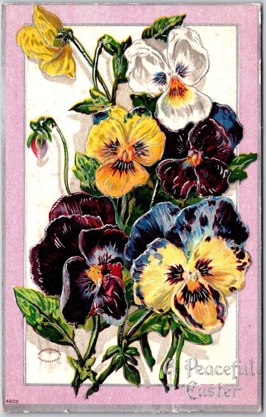 Easter, 1909 Large Beautiful Blooming Pansies Flowers Peaceful, Vintage Postcard