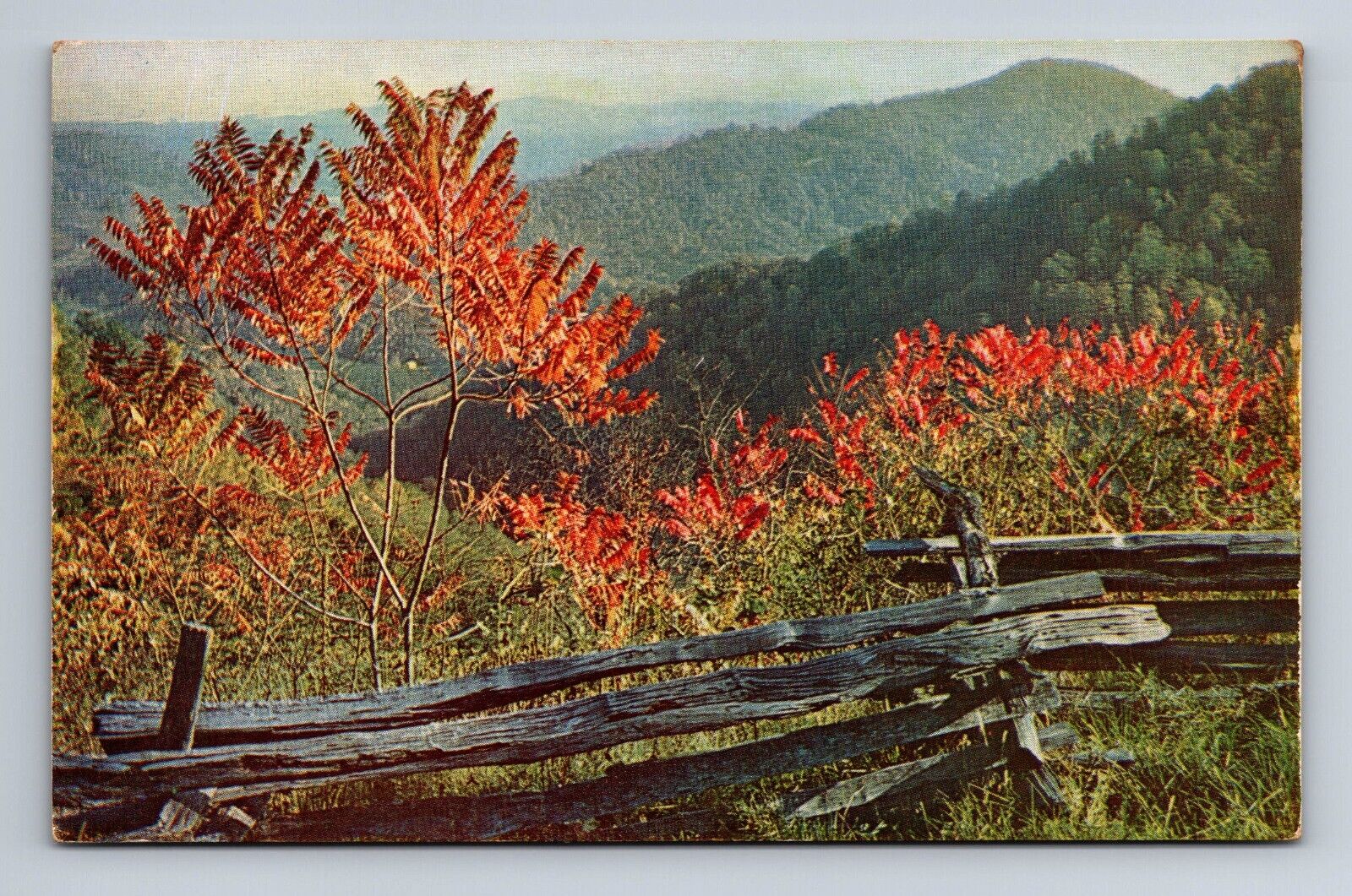Mountain Vista View From Trail\'s Cabin Blue Ridge Parkway Virginia Postcard B34