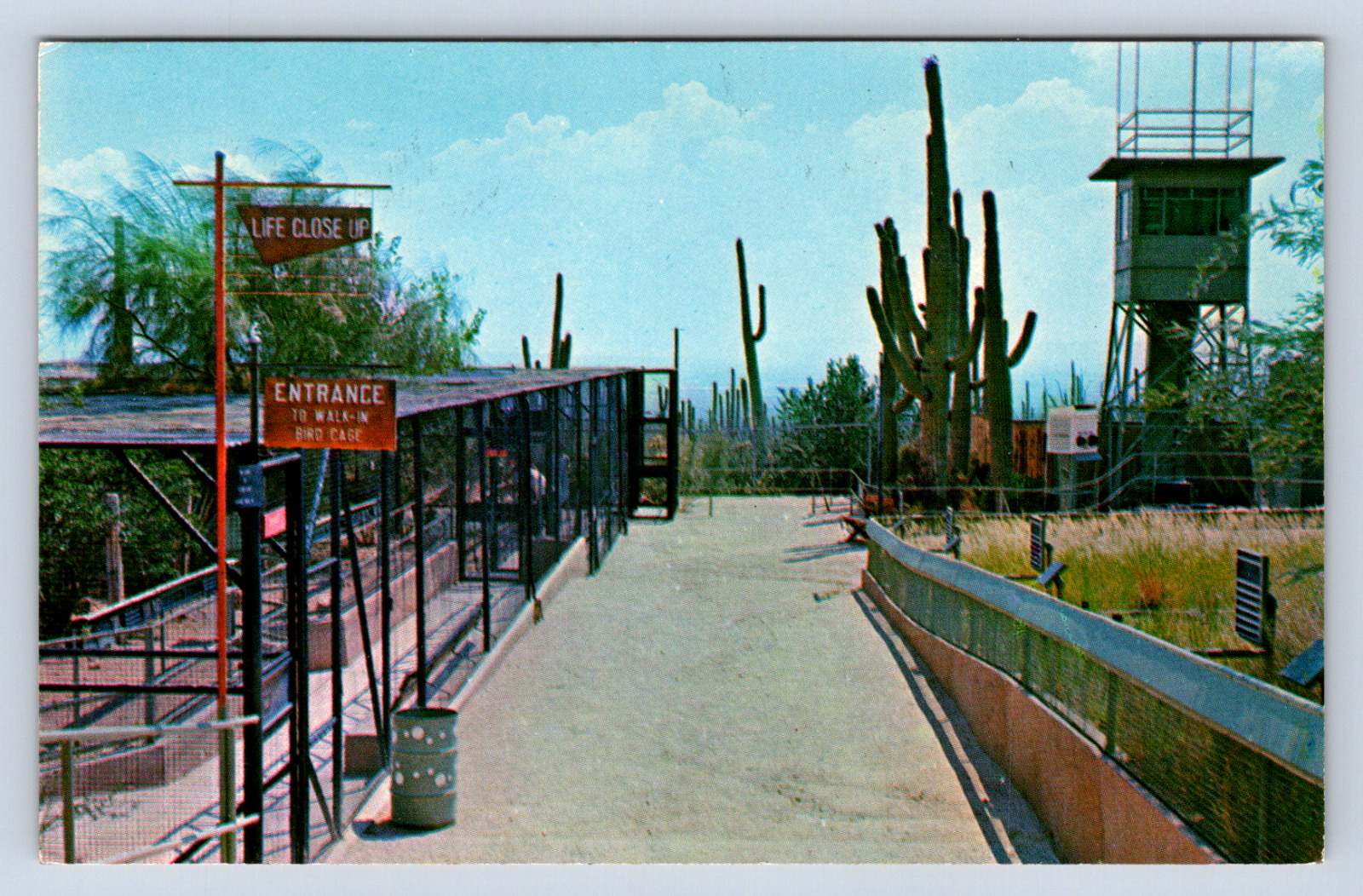 Vintage Postcard Arizona Sonora Desert Museum