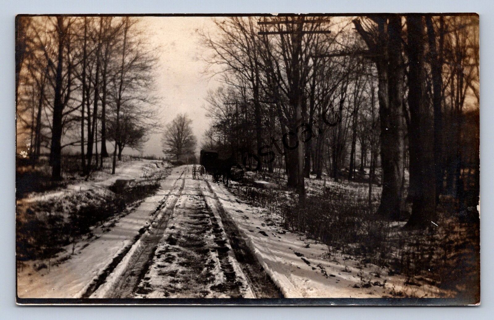 J93/ Westlake Ohio RPPC Postcard c1910 Snow Road Forest  296