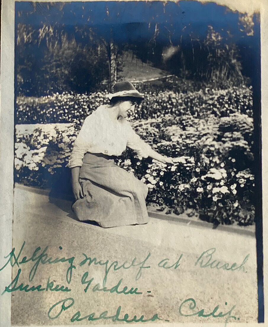 c1915 RARE Photograph Woman Helping Herself At Busch Sunken Garden Pasadena CA