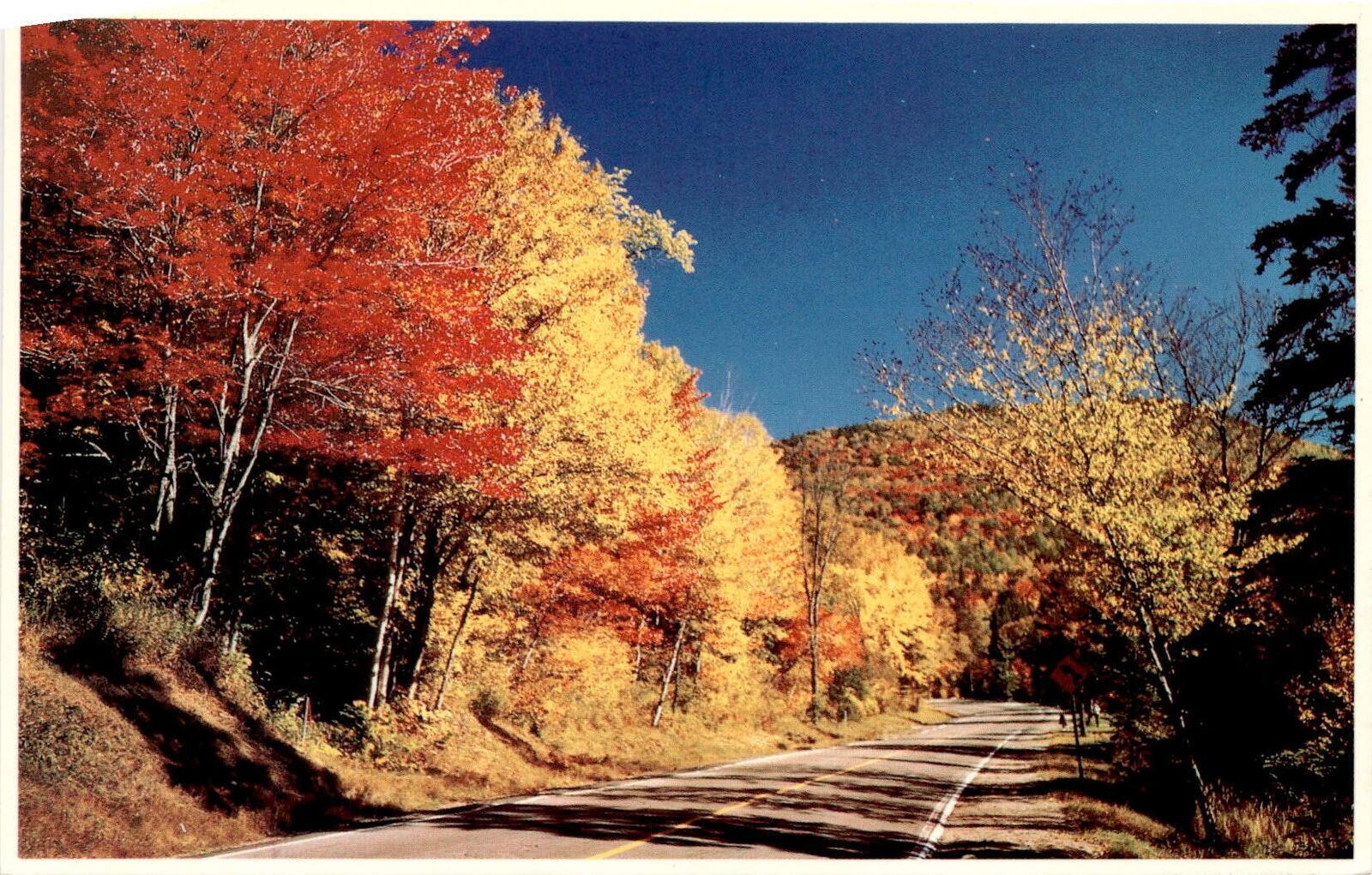 Vintage Fall Splendor in New England Postcard