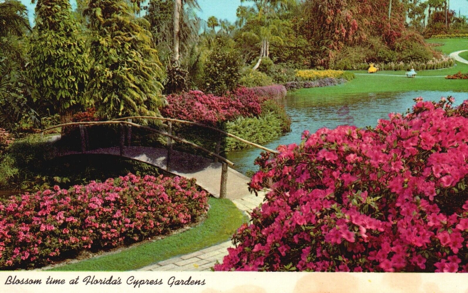 Postcard FL Cypress Gardens Florida Blossom Time 1975 Chrome Vintage PC H2752