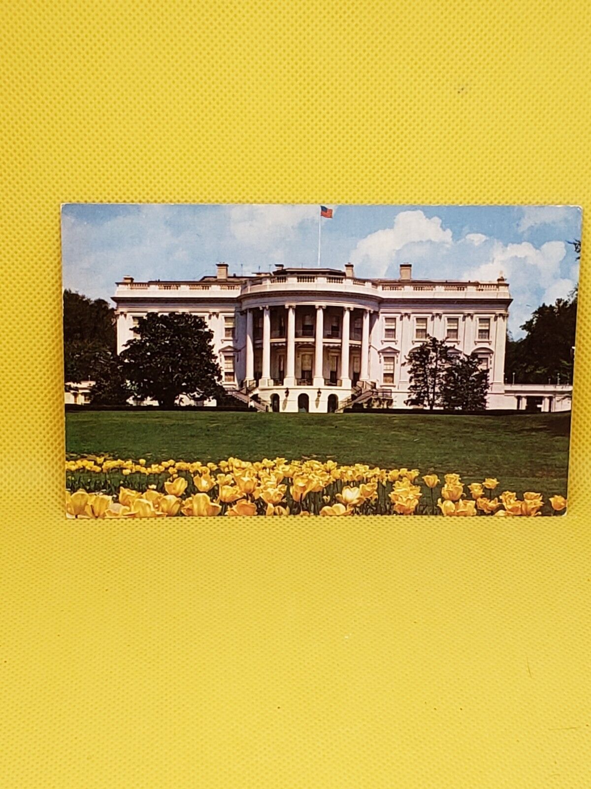 White House Washington DC Postcard #290