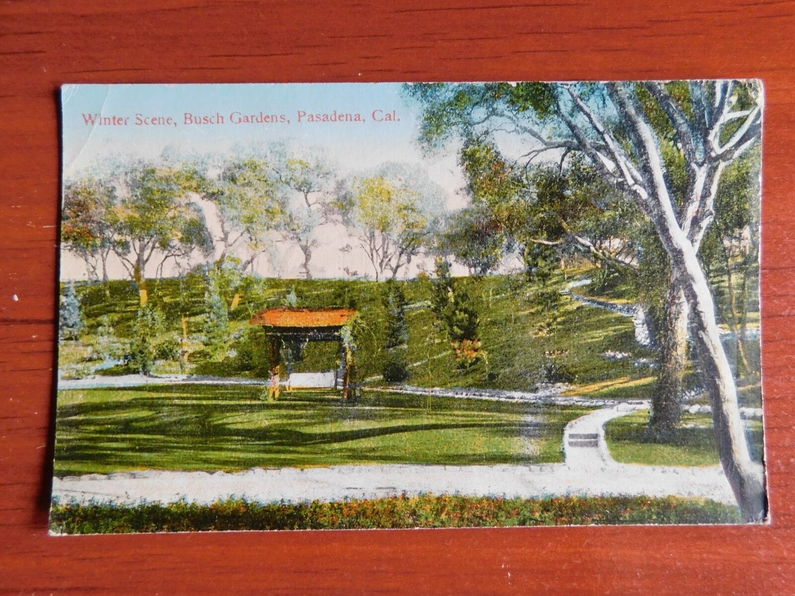 Postcard - posted 1921 - Winter Scene, Busch Gardens, Pasadena, California