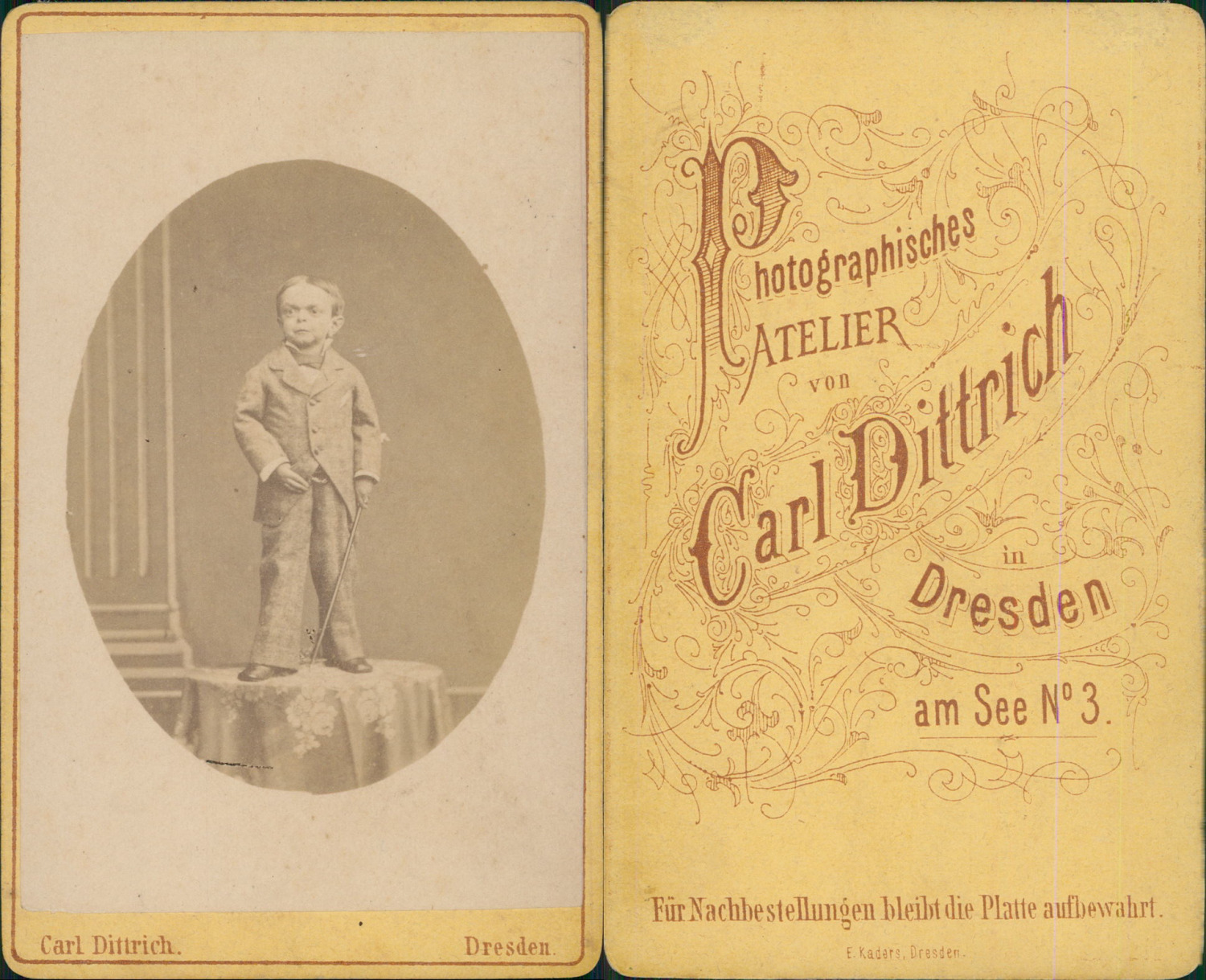 Carl Dittrich, Dresden, Vintage Dwarf CDV Albumen Business Card, CDV, Print