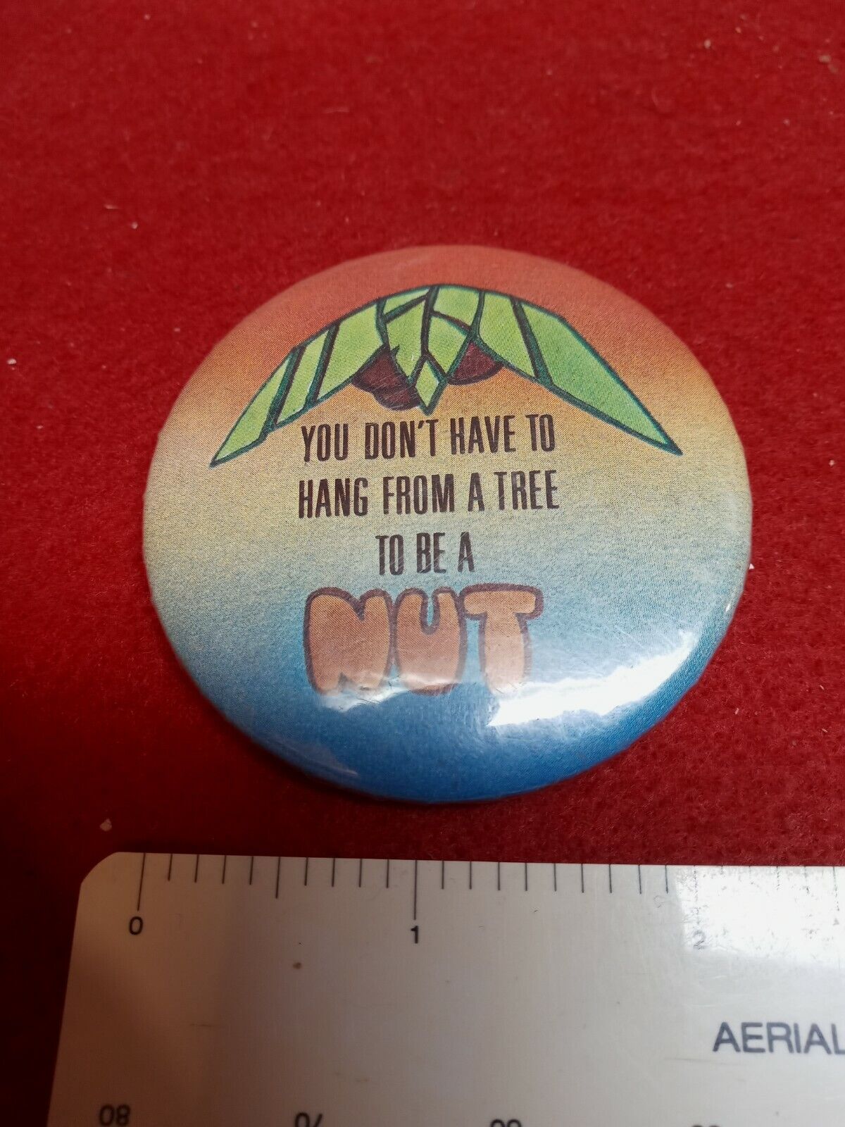 Vintage Pin Back Button You Dont Have To Be From A Tree To Be A Nut 