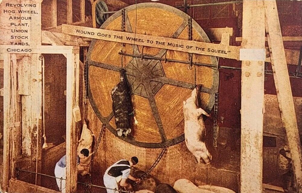 1909 Postcard ~ Revolving Hog Wheel ~  Armour Plant In Chicago, Illinois. #-5155