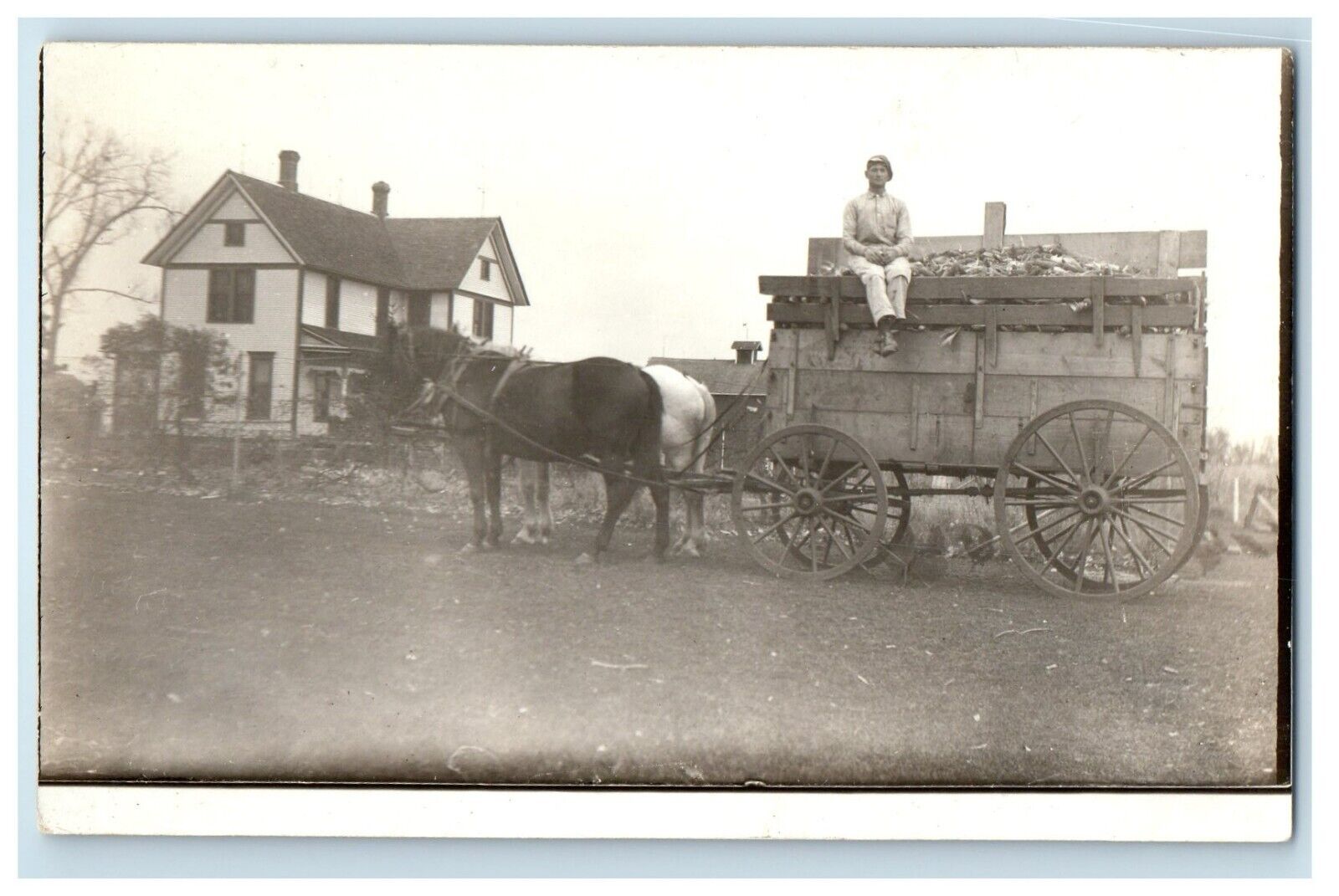 c1910\'s Horses And Wagon Hauling Corn Farm Land RPPC Unposted Photo Postcard