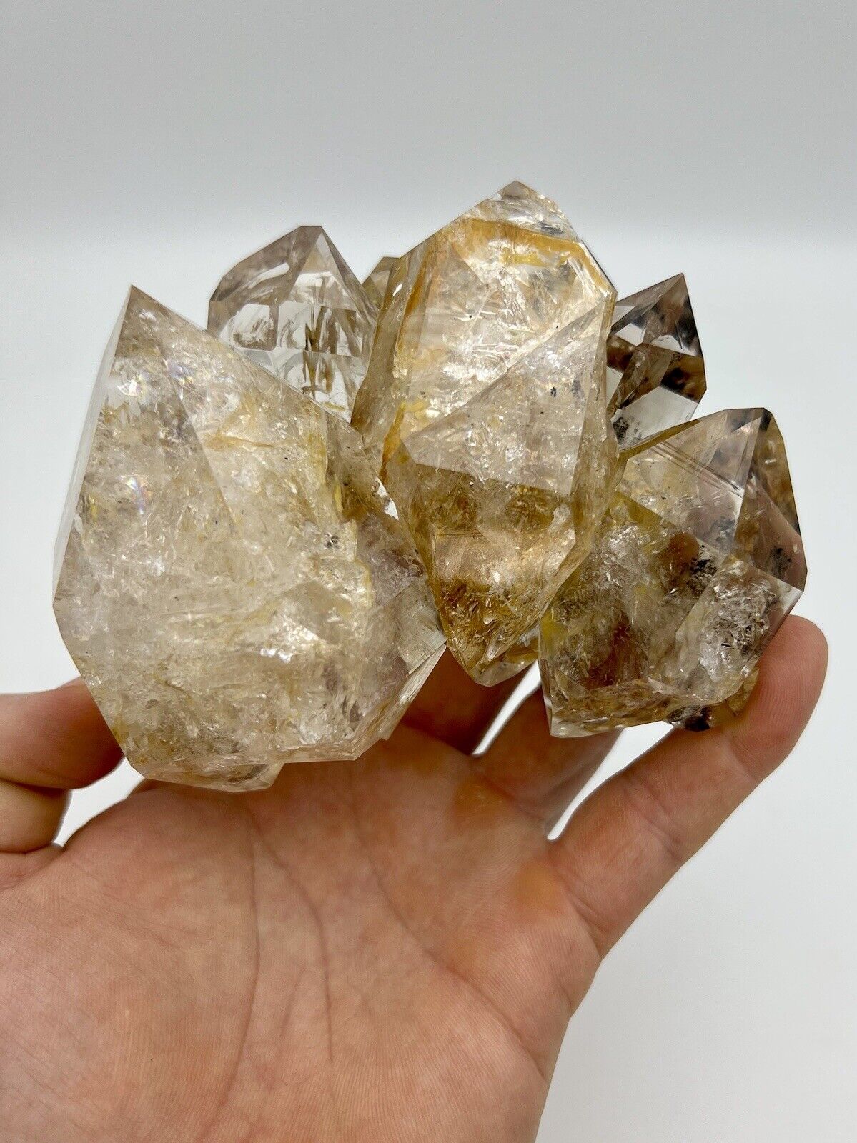 Large High Grade Herkimer Diamond Golden Healer Cluster, 12+ Crystals, Rainbows