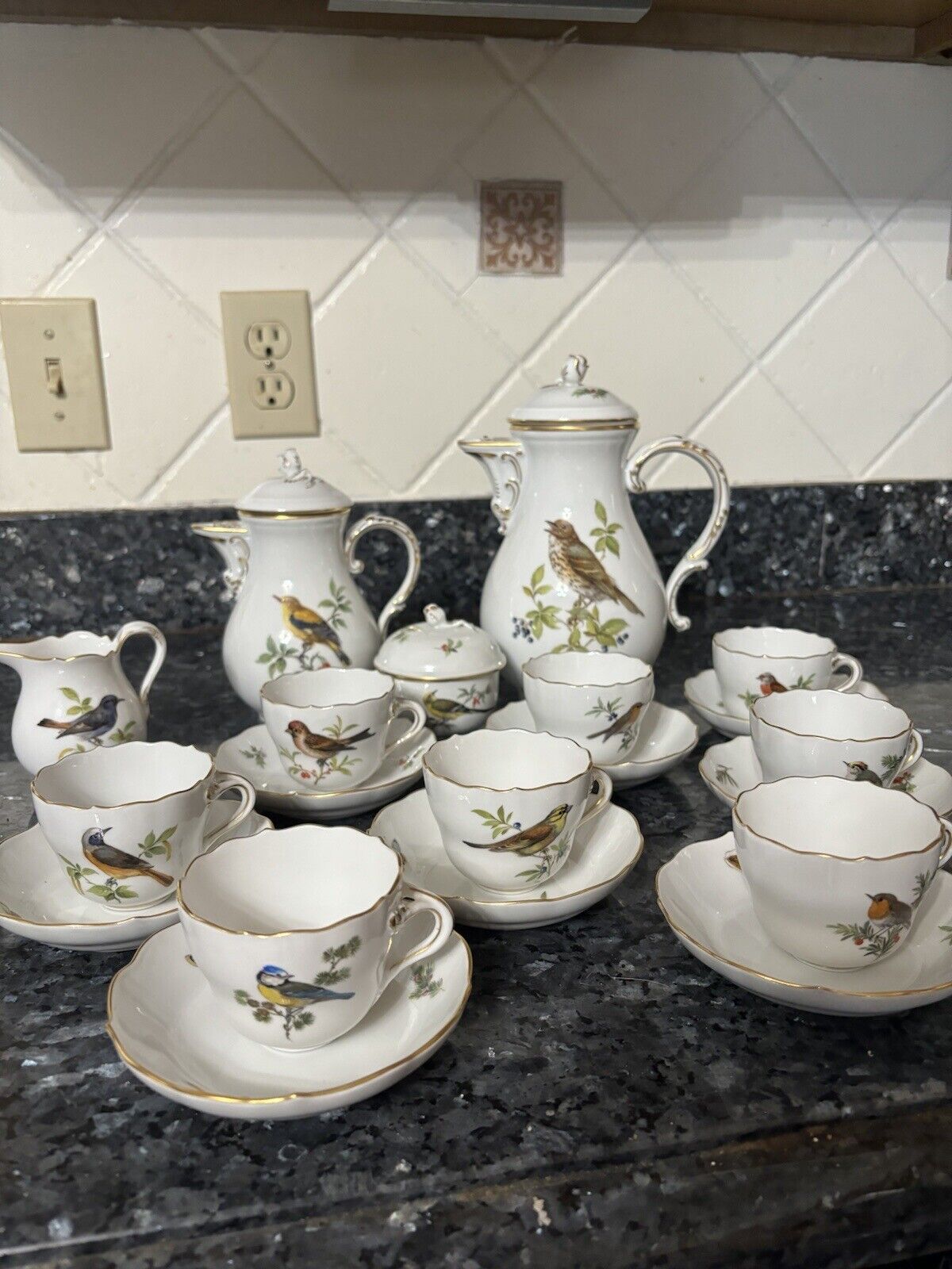 Meissen Coffee Service Set for Eight Birds and insects Rare Find