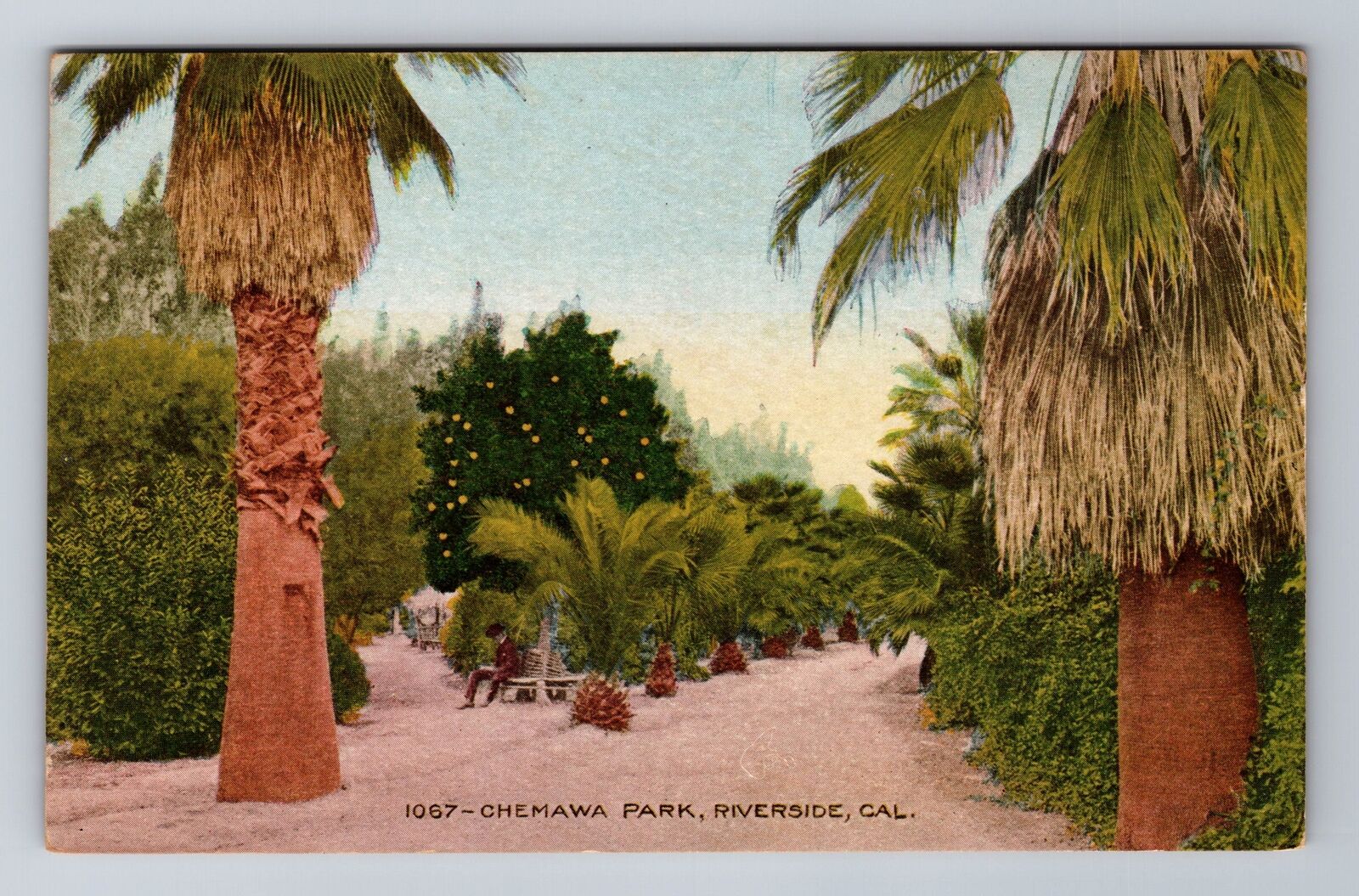 Riverside CA-California, Chemawa Park, Antique, Vintage Souvenir Postcard