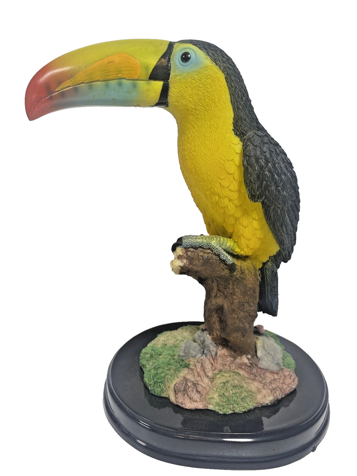 Resin Toucan Hand Painted Tropical Bird Colorful Figurine  8\
