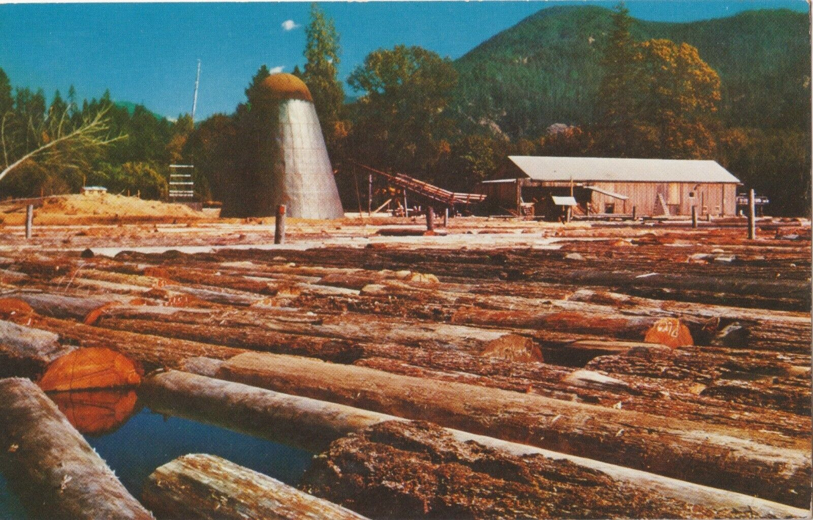 The Old Saw Mill-Oregon-vintage unposted postcard