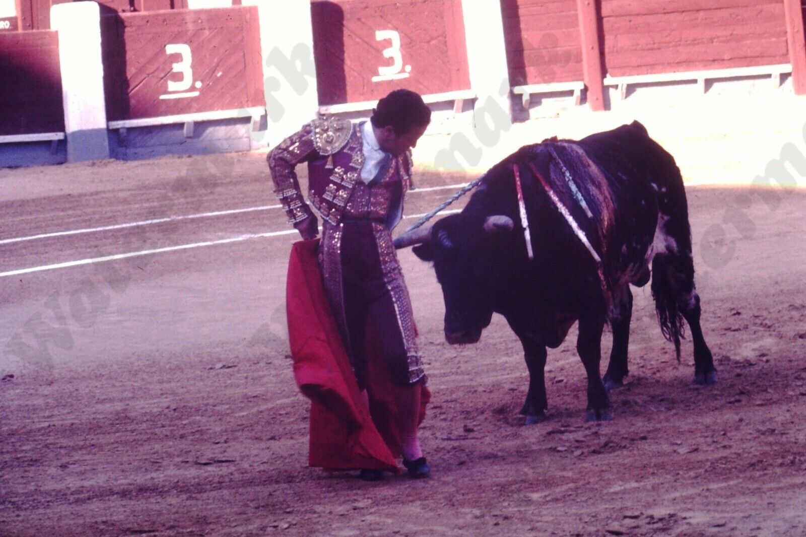 1971 Alicante Spain Bullfight bullfighting candid matador Orig 35mm SLIDE Js4