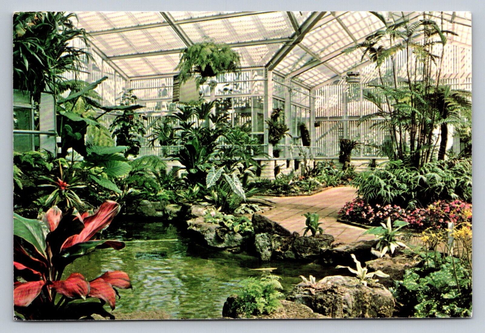 Postcard CA Carona del Mar Sherman Library Gardens Koi Pool Tropical   B977