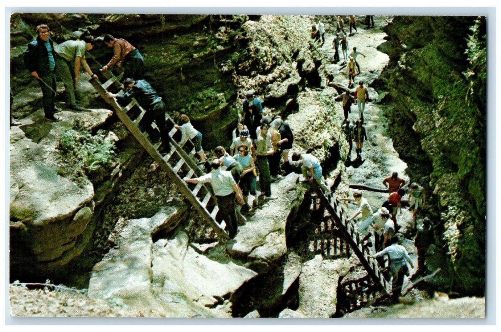 c1960 Parke County Indiana Ladder Trail Turkey Run State Park Vintage Postcard