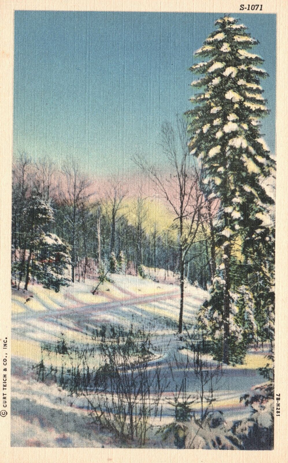 Vintage Postcard Winter Scene On A Beautiful Morning Trees Covered With Snow