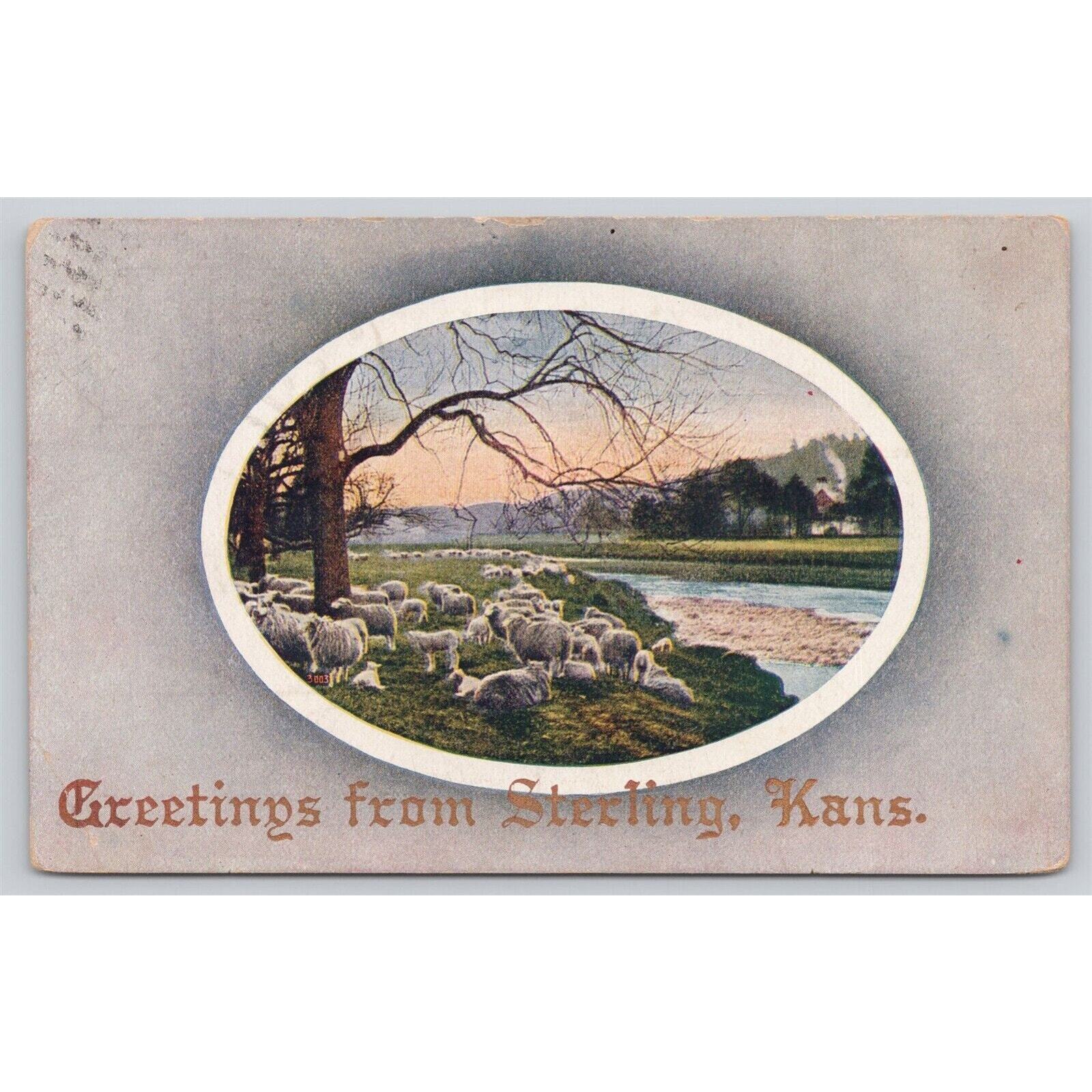 Postcard KS Greetings From Sterling Kansas