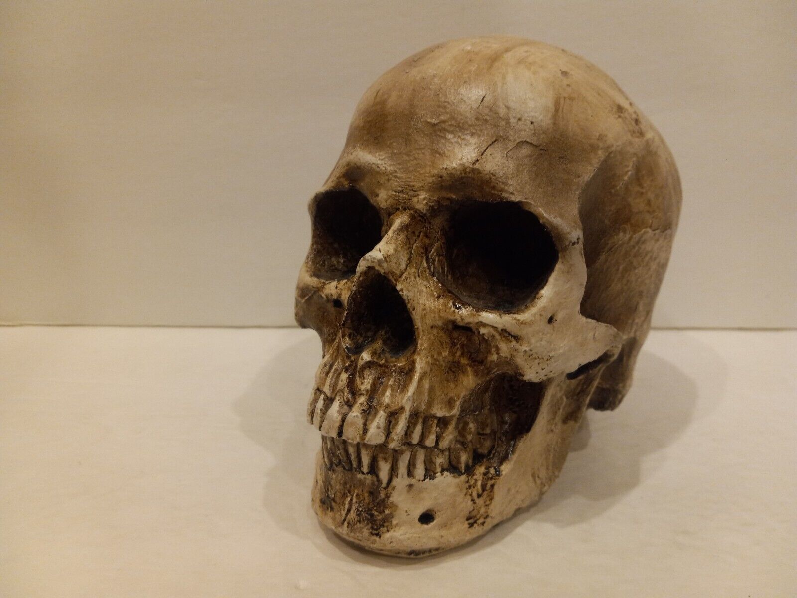 Full size Human horror skull hollow resin halloween horror decor