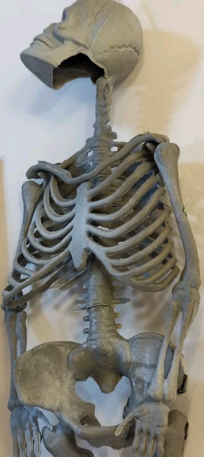 Vintage Original Rubbery Gray Skeleton 12\