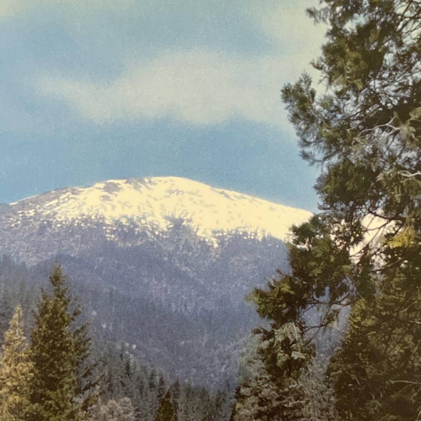 Vintage Postcard California Trinity Alps Tourist Union Oil Company ⭐️